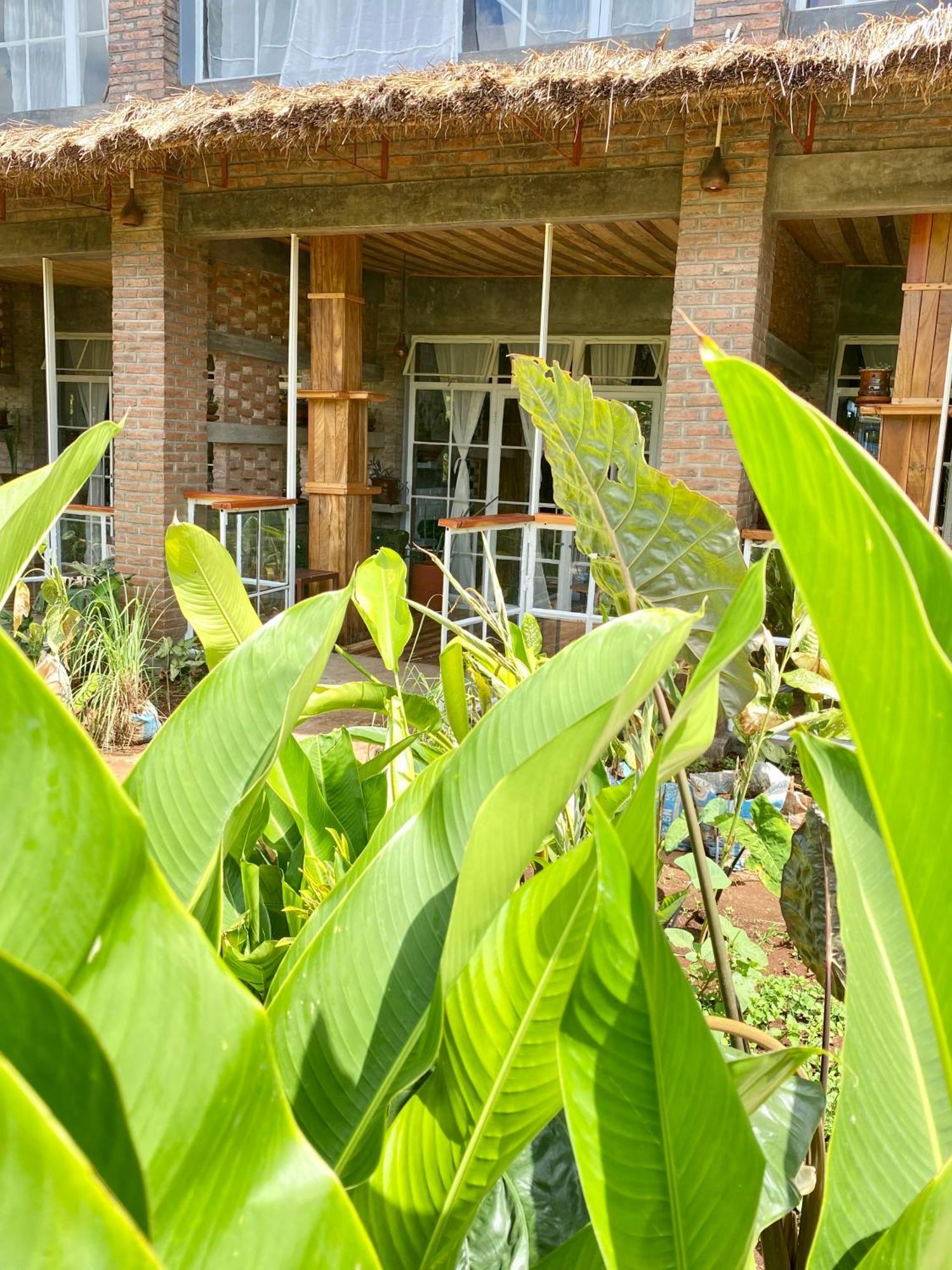 Mount Kilimanjaro 360 View Cottage Uru Exterior photo
