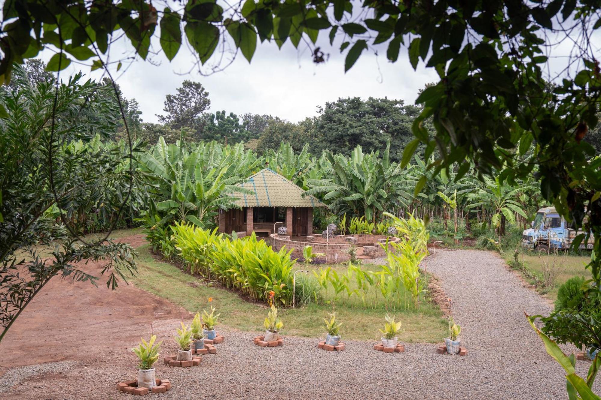Mount Kilimanjaro 360 View Cottage Uru Exterior photo